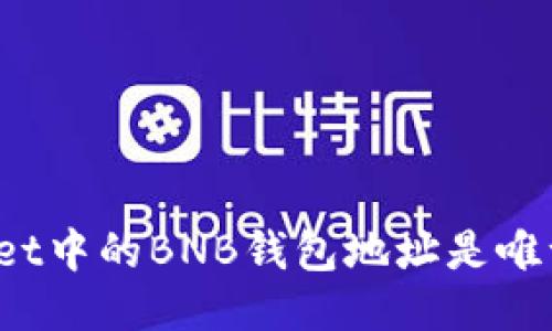 TPWallet中的BNB钱包地址是唯一的吗？