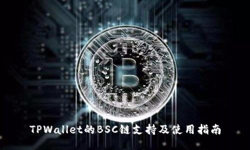 TPWallet的BSC链支持及使用指南