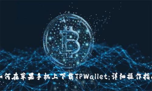 如何在苹果手机上下载TPWallet：详细操作指南