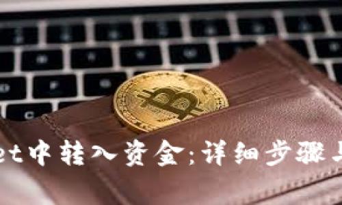 如何在TPWallet中转入资金：详细步骤与常见问题解答