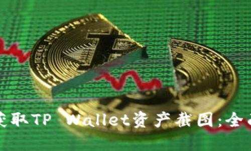 如何获取TP Wallet资产截图：全面指南