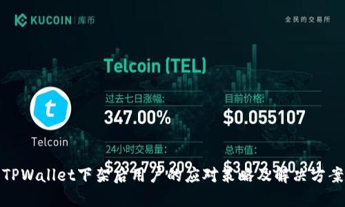 TPWallet下架后用户的应对策略及解决方案