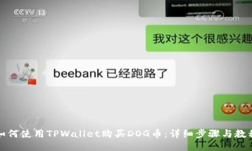 如何使用TPWallet购买DOG币：详细步骤与教程