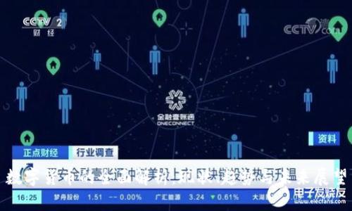数字货币的全面解析：现状、趋势与未来展望