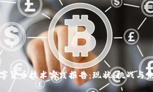 数字货币技术实践报告：现状、挑战与未来