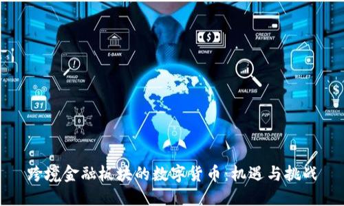 跨境金融板块的数字货币：机遇与挑战
