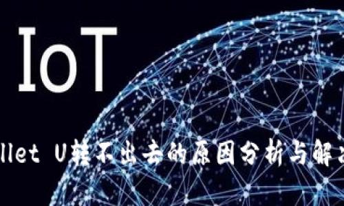 TPWallet U转不出去的原因分析与解决方案