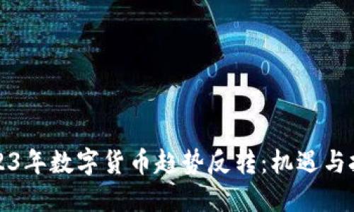 2023年数字货币趋势反转：机遇与挑战