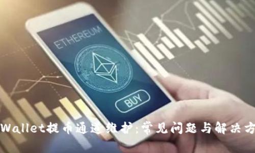 TPWallet提币通道维护：常见问题与解决方案
