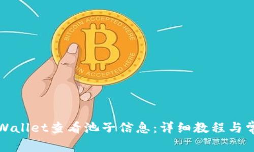 如何通过TPWallet查看池子信息：详细教程与常见问题解答