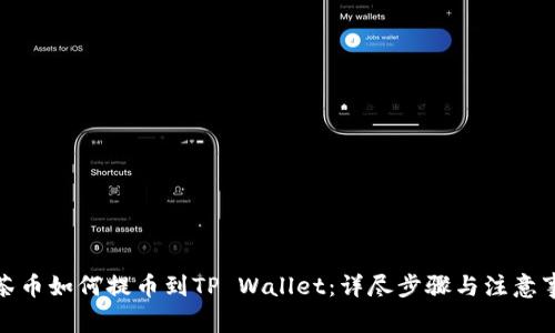 抹茶币如何提币到TP Wallet：详尽步骤与注意事项