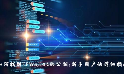 如何找到TPWallet的公钥：新手用户的详细指南