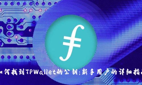 如何找到TPWallet的公钥：新手用户的详细指南