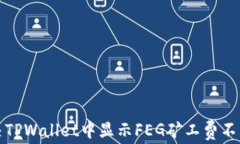 如何解决TPWallet中显示FE