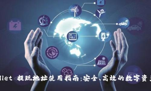 TPWallet 提现地址使用指南：安全、高效的数字资产管理