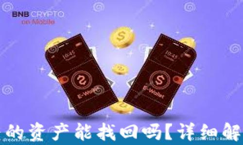 
tpwallet误转的资产能找回吗？详细解析及解决方案