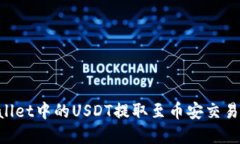 如何将TPWallet中的USDT提取至币安交易所：完整指
