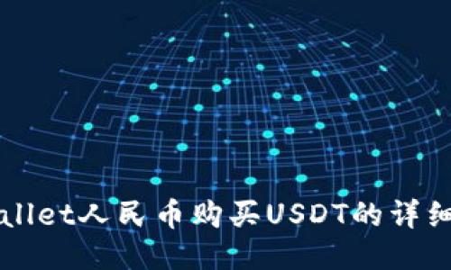 TPWallet人民币购买USDT的详细指南