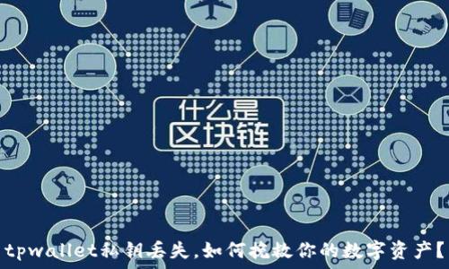   
tpwallet私钥丢失，如何挽救你的数字资产？
