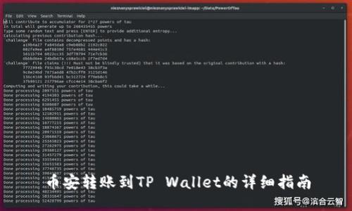 币安转账到TP Wallet的详细指南