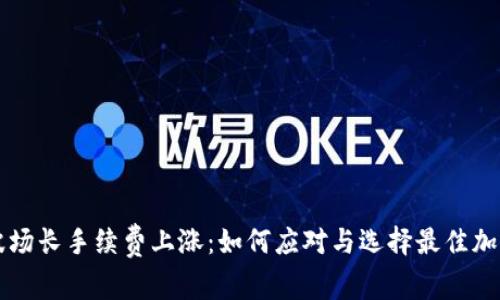 TPWallet波场长手续费上涨：如何应对与选择最佳加密钱包策略