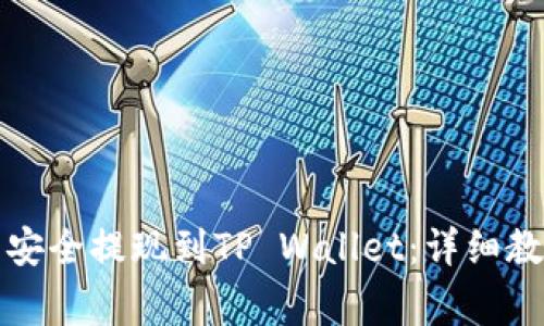 如何将狗狗币安全提现到TP Wallet：详细教程与注意事项