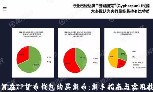 
如何在TP货币钱包购买新币：新手指南与实用技巧