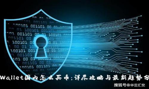 TPWallet国内怎么买币：详尽攻略与最新趋势分析