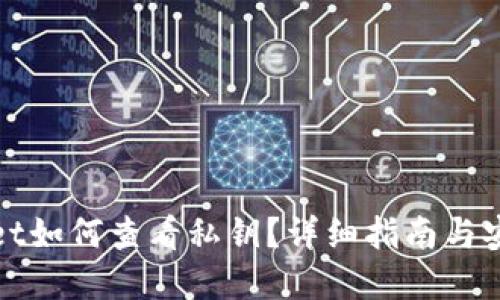 tpwallet如何查看私钥？详细指南与安全提示