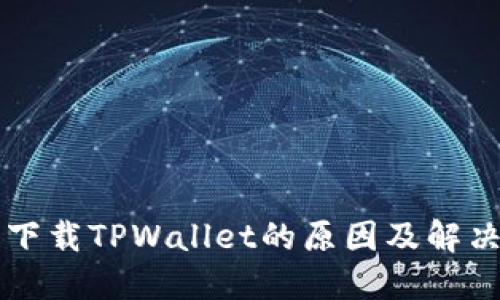 无法下载TPWallet的原因及解决方法