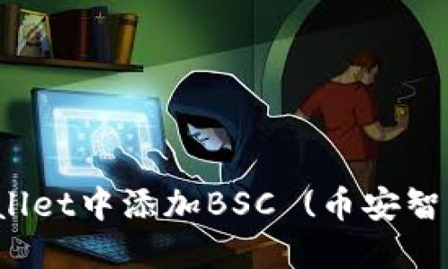 如何在电脑TP Wallet中添加BSC (币安智能链) 的详细步骤