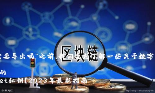 在讨论“tpwallet私钥需要导出吗”之前，我们要先了解一些关于数字钱包和私钥的基本知识。

### 思考一个接近且的
如何安全地导出TPWallet私钥？2023年最新指南