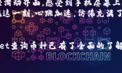   如何在TPWallet中查询币种