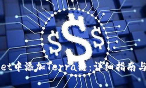 如何在TPWallet中添加Terra链：详细指南与常见问题解答