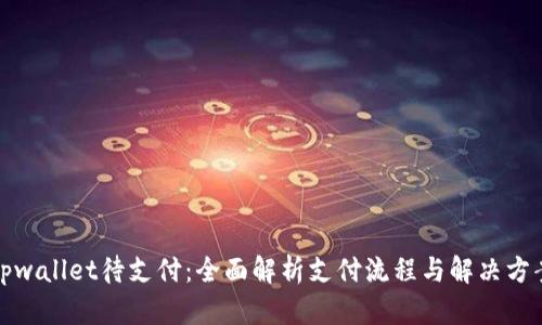 tpwallet待支付：全面解析支付流程与解决方案