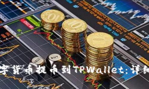 如何将数字货币提币到TPWallet:详细流程解析