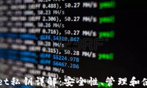 
TPWallet私钥详解：安全性、管理和使用指导