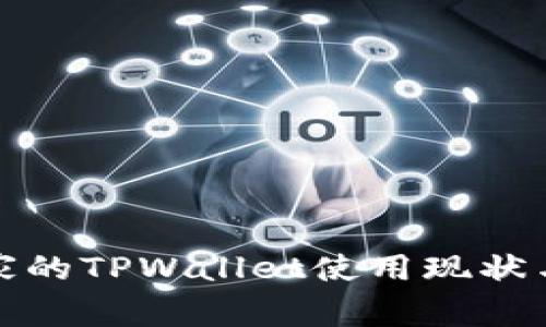 : 中东国家的TPWallet使用现状与未来展望