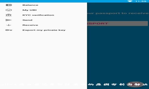 TPWallet有交易记录但没有币的原因分析与解决方案