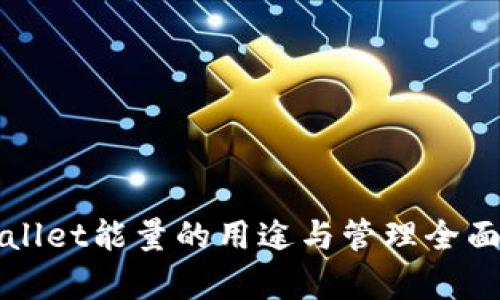 TPWallet能量的用途与管理全面解析