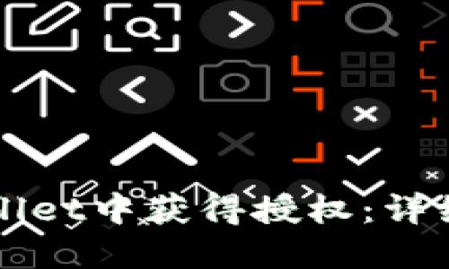 如何在TPWallet中获得授权：详细步骤与技巧