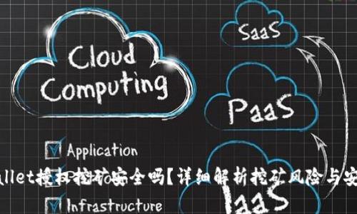 : TPWallet授权挖矿安全吗？详细解析挖矿风险与安全措施