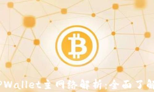 
币安ETH TPWallet主网络解析：全面了解交易与安全