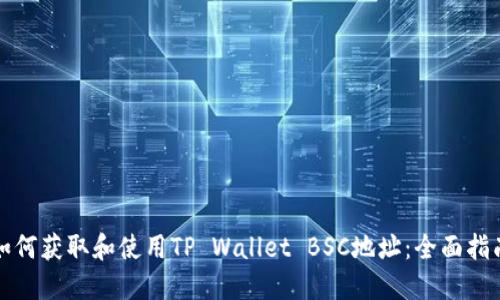 如何获取和使用TP Wallet BSC地址：全面指南