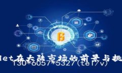 TPWallet在大陆市场的前景与挑战分析