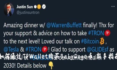 如何通过TPWallet购买BabyDoge币：新手指南
