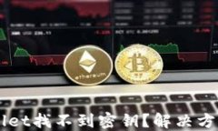 TP Wallet找不到密钥？解决方法详解！